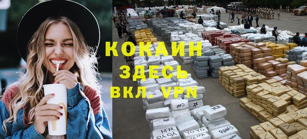 не бодяженный Бородино