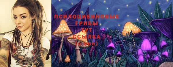герыч Бугульма