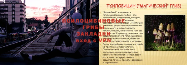 не бодяженный Бородино