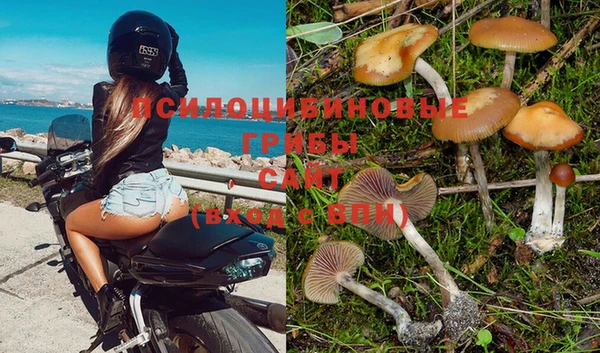 не бодяженный Бородино