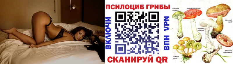 Купить закладки  Пустошка  Галлюциногенные грибы Cubensis 